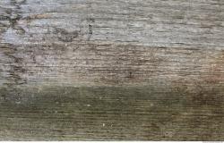 Photo Textures of Wood